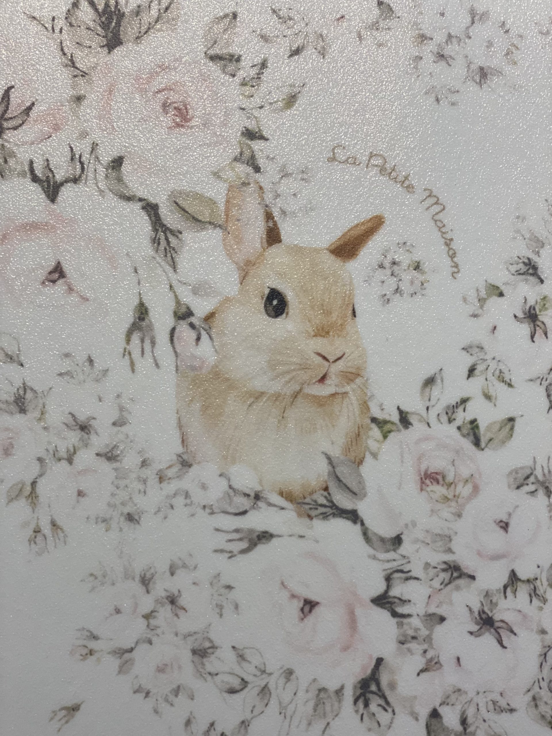 0B8763F0-33D5-4963-9654-E49762E24294