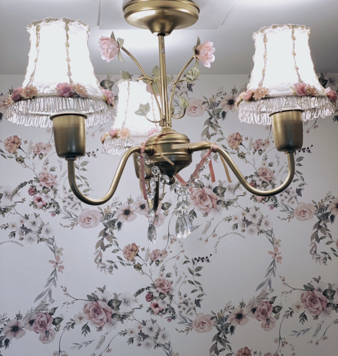 A6CD2926-CD02-4CF8-9DC1-1470524C327B